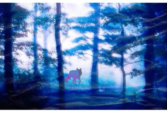 Image Se souvenir des loups