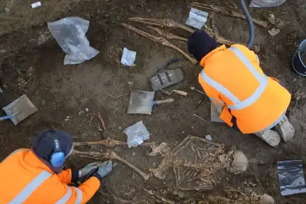 Deux archéologues dégagent une série de squelettes.