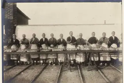 Vue d'ouvrières d'une conserverie debout, en extérieur, face à une table de travail où sont posées les grils à sardines.