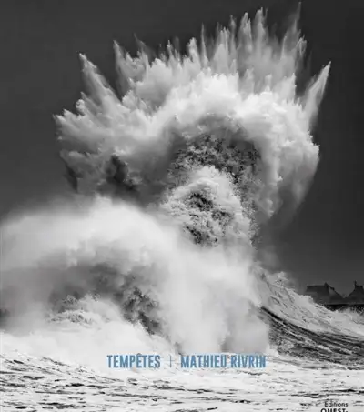 Photo de la couverture du livre Tempêtes de Mathieu Rivrin où on voit une vague qui ressemble à un visage