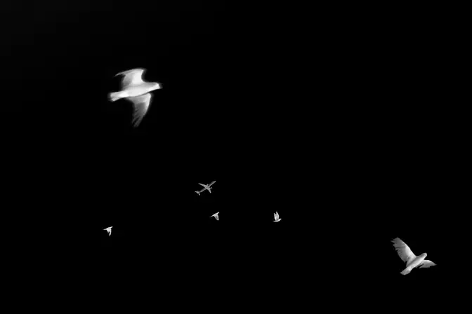 Stacy Arezou Mehrfar, The Moon belongs to everyone