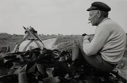 Au premier plan, un homme est assis sur du goëmon dans une charrette. Il est de profil, porte une casquette, une cigarette à la bouche et occupe toute la partie droite de la photo. À gauche, on voit le dos du cheval qui tire la charrette. En arrière-plan, le chemin qu'ils empruntent à travers la lande. Photographie en noir et blanc