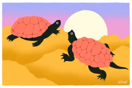 Tortues Illustration de deux tortues se regardant.