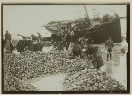 Cancale, tri des huîtres, photographie prise par Paul Géniaux (1873-1929) – Marque du Domaine Public – Collection du Musée de Bretagne, Rennes