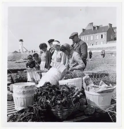 Cancale, vente des huîtres, photographie prise par Ph. Hutinet, vers 1940-1950 – Licence CC BY-NC-ND – Collection du Musée de Bretagne, Rennes