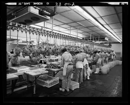 Abattoir de Bignan, photographie des Créations artistiques Heurter, 1976 – CC BY-NC-ND – Collection Musée de Bretagne, Rennes
