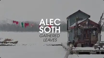 Alec Soth - Gathered Leaves
