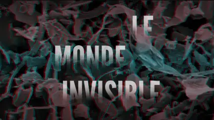 Le Monde invisible