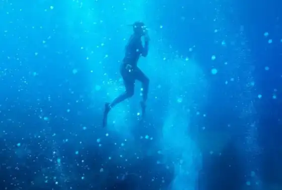 Image La Mer jamais ne s'oublie